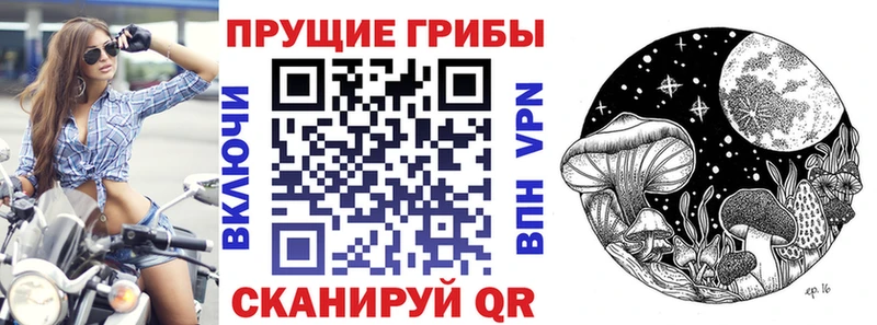 Галлюциногенные грибы Magic Shrooms как найти закладки Велиж